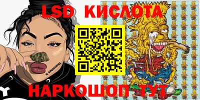 spice Кандалакша