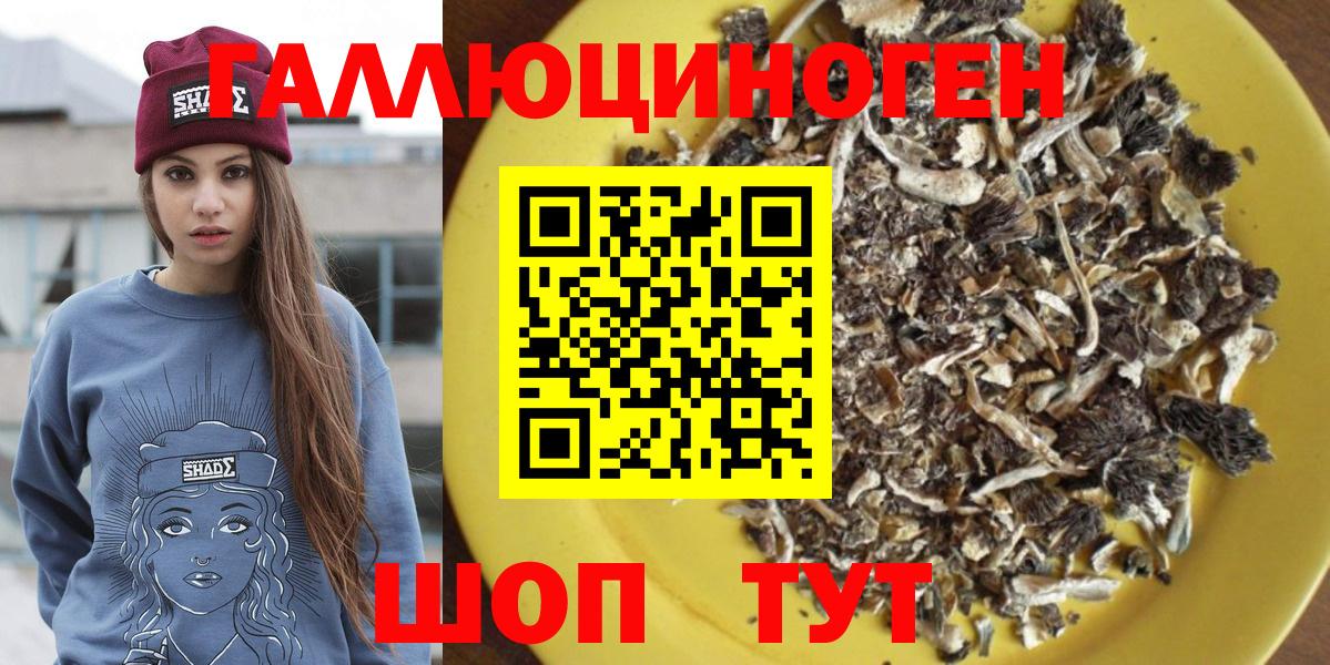 Конаково  Псилоцибиновые грибы Psilocybine cubensis  Галлюциногенные грибы прущие грибы  Вход с VPN 